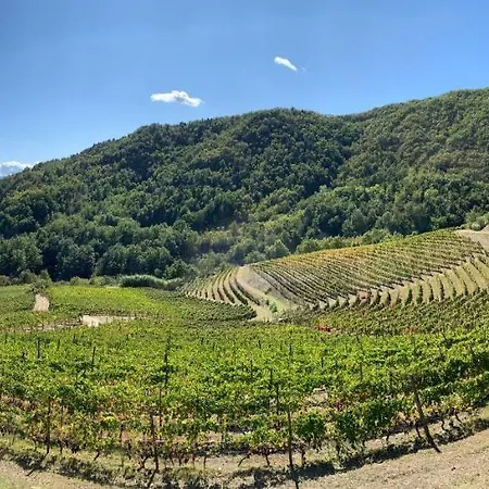Cascina Bertolotto Wine *