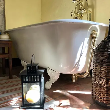 Cascina Bertolotto Wine Agroturismo Spigno Monferrato