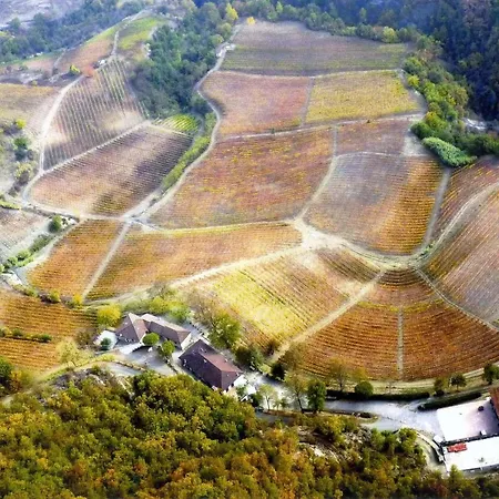 Cascina Bertolotto Wine مزرعة للإقامة