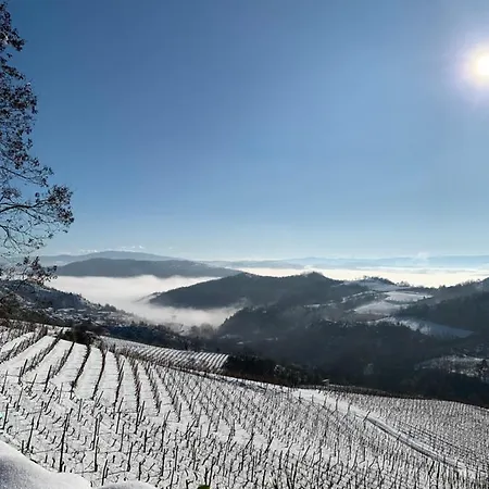 Cascina Bertolotto Wine