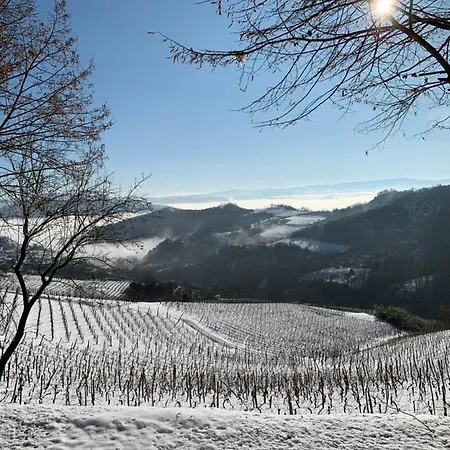 Cascina Bertolotto Wine *