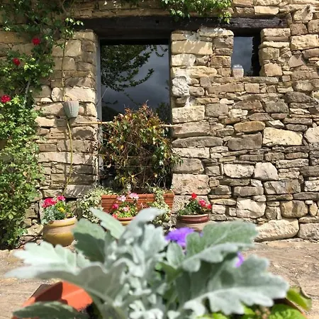 Cascina Bertolotto Wine