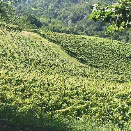 Cascina Bertolotto Wine *