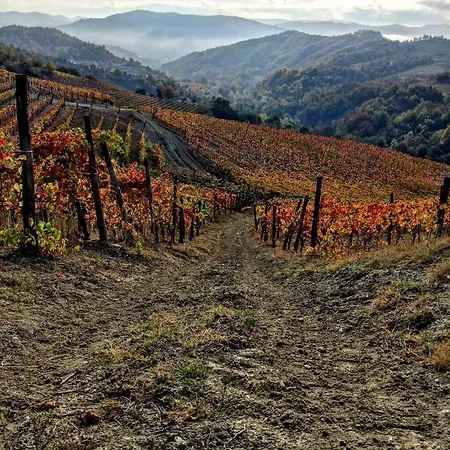 Cascina Bertolotto Wine Alloggio per agriturismo