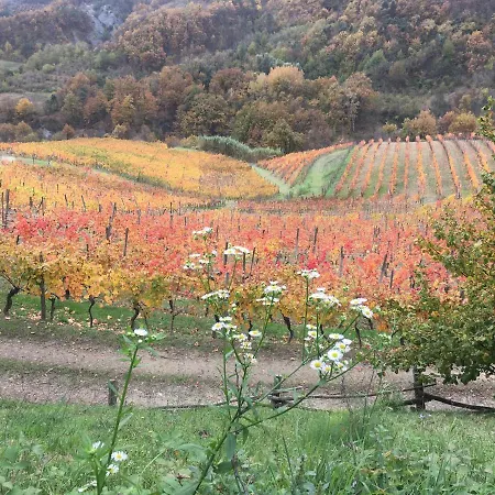 Cascina Bertolotto Wine Spigno Monferrato