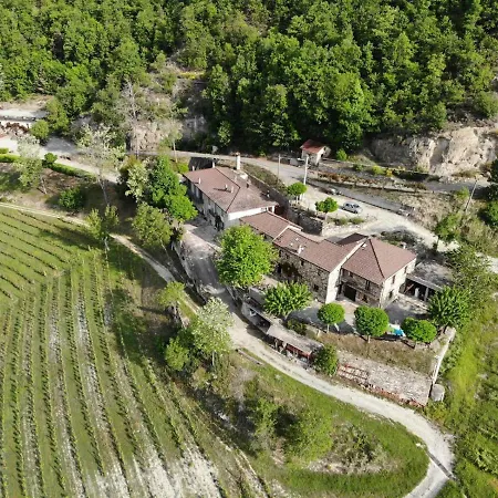 Cascina Bertolotto Wine * Spigno Monferrato