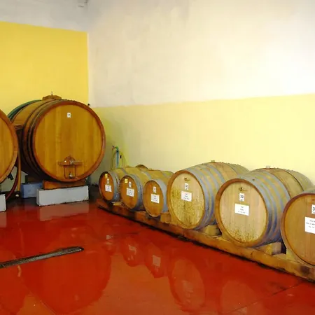 Cascina Bertolotto Wine Spigno Monferrato