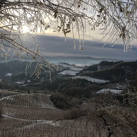 Cascina Bertolotto Wine Çiftlik konaklama *
