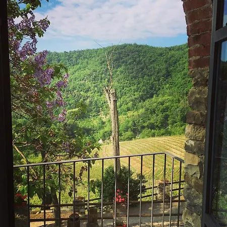 Gospodarstwo agroturystyczne Cascina Bertolotto Wine Spigno Monferrato