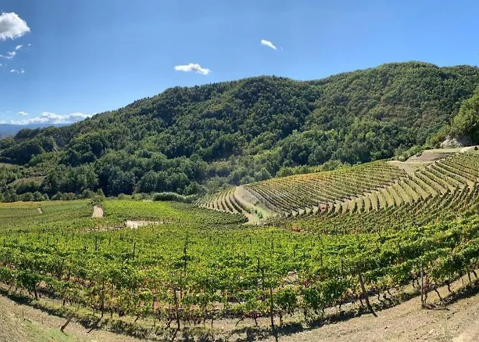 Cascina Bertolotto Wine *