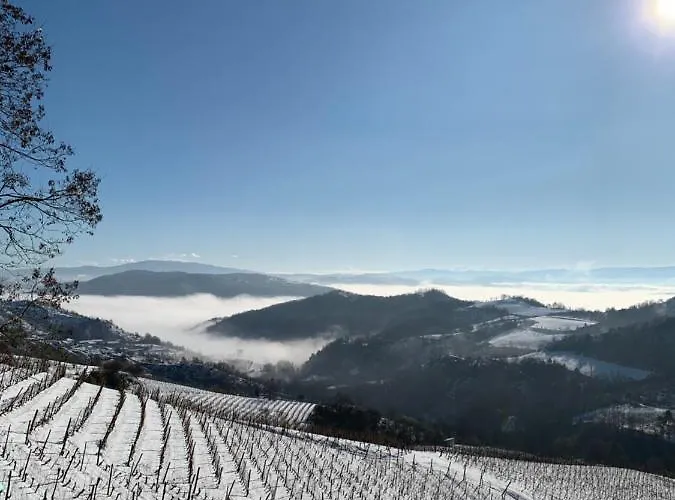 Cascina Bertolotto Wine