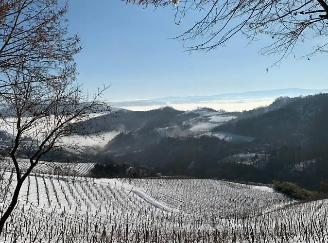 Cascina Bertolotto Wine *