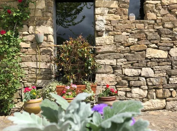 Cascina Bertolotto Wine