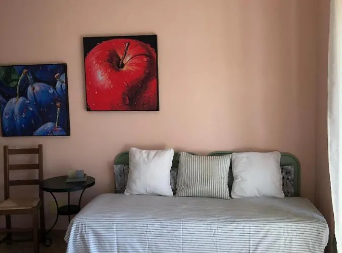 Cascina Bertolotto Wine * Spigno Monferrato