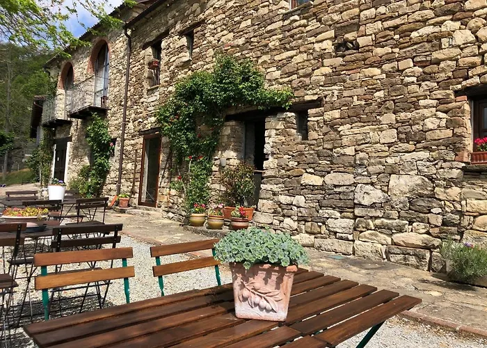 Cascina Bertolotto Wine Çiftlik konaklama Spigno Monferrato