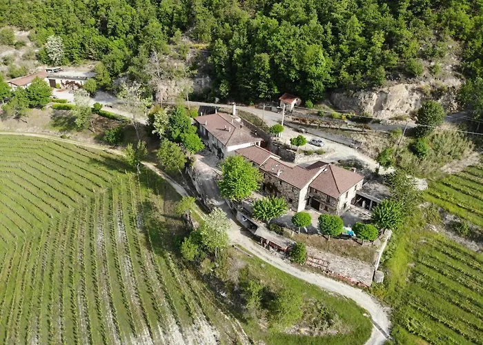 Cascina Bertolotto Wine * Spigno Monferrato