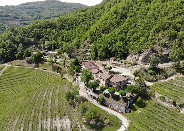 Cascina Bertolotto Wine