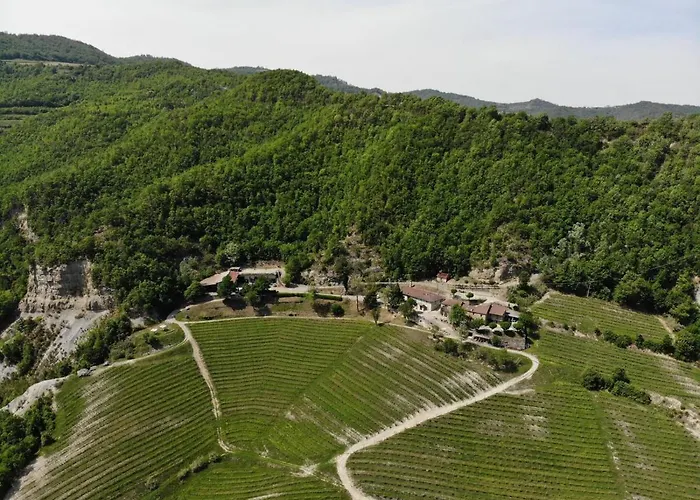 Çiftlik konaklama Cascina Bertolotto Wine *