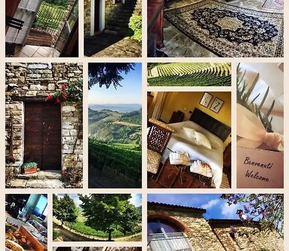 Çiftlik konaklama Cascina Bertolotto Wine *