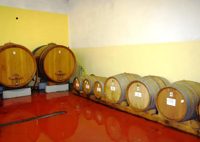 Cascina Bertolotto Wine Spigno Monferrato