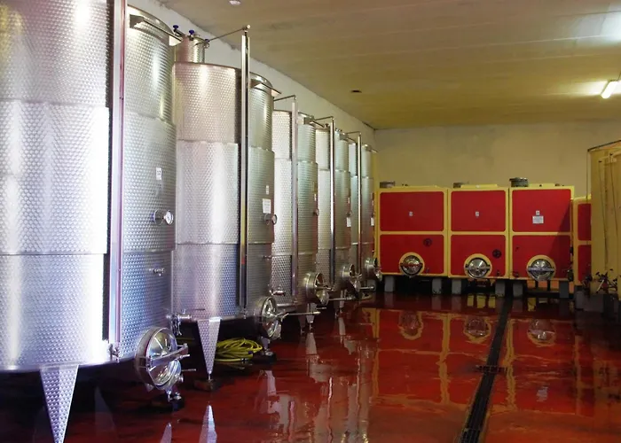 Çiftlik konaklama Cascina Bertolotto Wine *