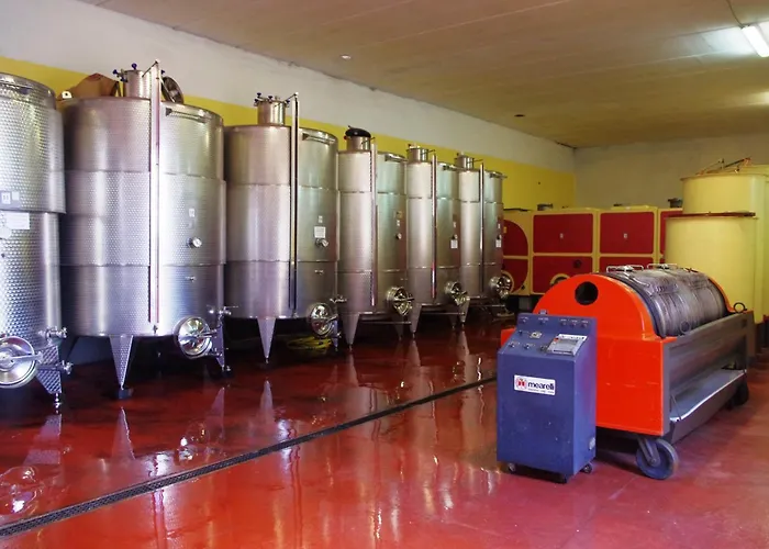 Çiftlik konaklama Cascina Bertolotto Wine