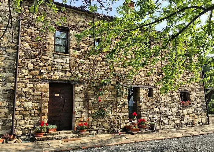 Çiftlik konaklama Cascina Bertolotto Wine *