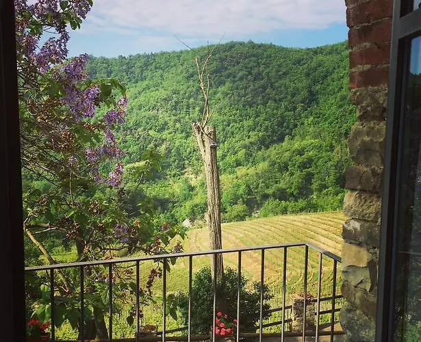 مزرعة للإقامة Cascina Bertolotto Wine Spigno Monferrato